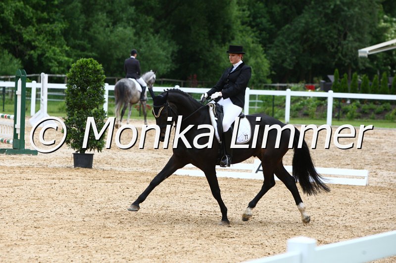 006M5192_Dressurpferde L.JPG